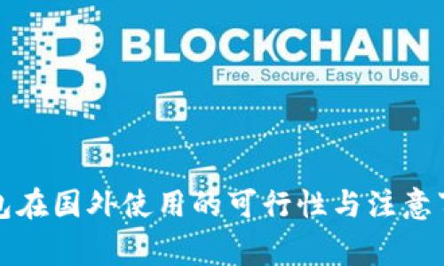数字钱包在国外使用的可行性与注意事项解析