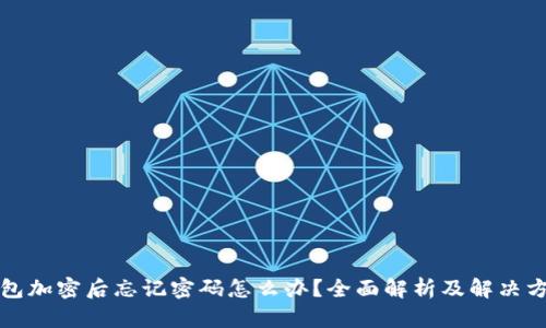 钱包加密后忘记密码怎么办？全面解析及解决方案
