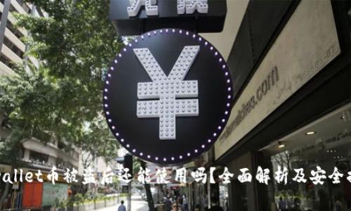 tpwallet币被盗后还能使用吗？全面解析及安全措施