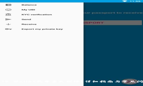 刚转进TP Wallet的币多久到账？详细指南与常见问题解析