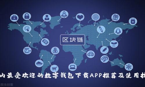国内最受欢迎的数字钱包下载APP推荐及使用技巧