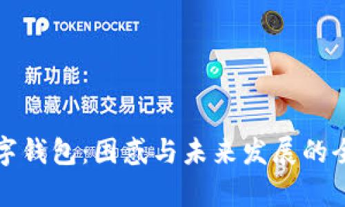 微信数字钱包：困惑与未来发展的全面解析