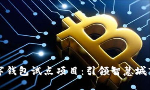 福州数字钱包试点项目：引领智慧城市的未来