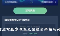 如何应对数字钱包充值超