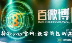 全方位解析Gopay官网：数字