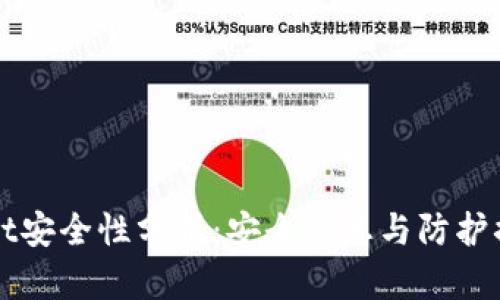 TPWallet安全性分析：安全隐患与防护措施详解