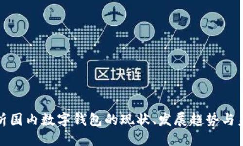 全面解析国内数字钱包的现状、发展趋势与未来前景