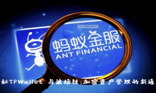 揭秘TPWallet 与波场链：加密资产管理的新通道