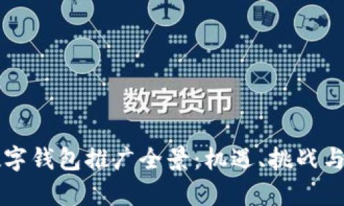 深圳市数字钱包推广全景：机遇、挑战与前景展望