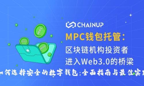 如何选择安全的数字钱包：全面指南与最佳实践