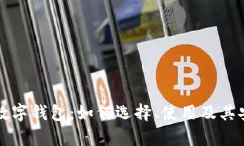 揭秘最大数字钱包：如何选择、使用及其安全性分析