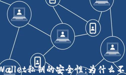
探讨TPWallet私钥的安全性：为什么不应截图？
