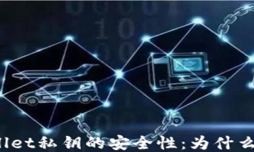
探讨TPWallet私钥的安全性：为什么不应截图？