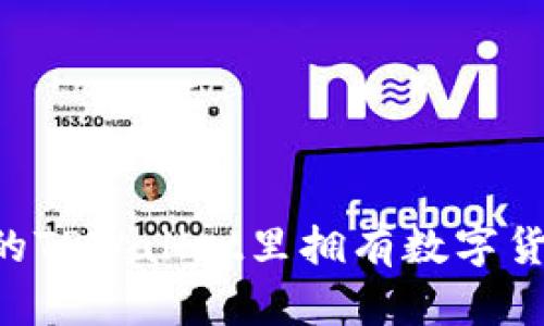 如何让自己的TPWallet里拥有数字货币：全面指南