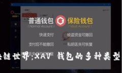 深入探索区块链世界：X