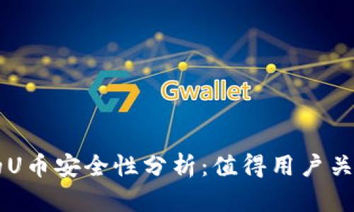 TPWallet中的U币安全性分析：值得用户关注的关键因素