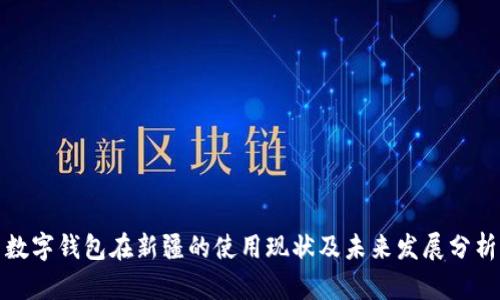 数字钱包在新疆的使用现状及未来发展分析