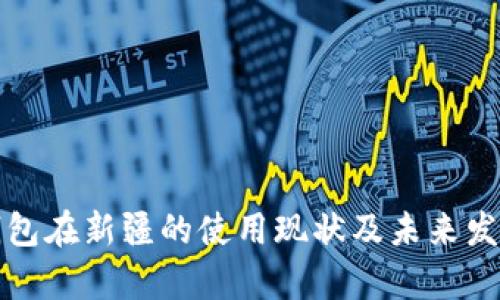 数字钱包在新疆的使用现状及未来发展分析
