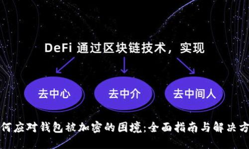 如何应对钱包被加密的困境：全面指南与解决方案