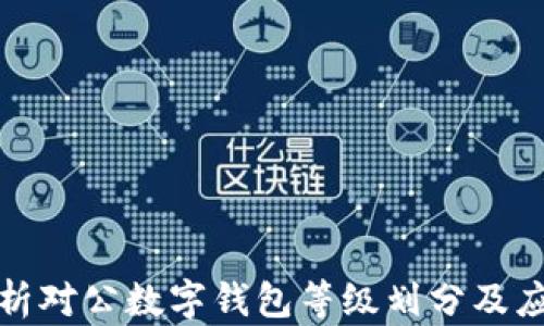 
全面解析对公数字钱包等级划分及应用前景