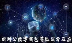 全面解析对公数字钱包等