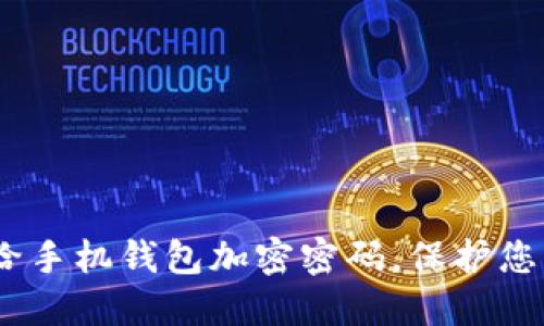 全面教程：如何给手机钱包加密密码，保护您的数字资产安全