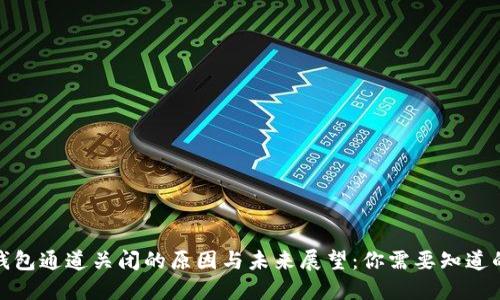 数字钱包通道关闭的原因与未来展望：你需要知道的一切