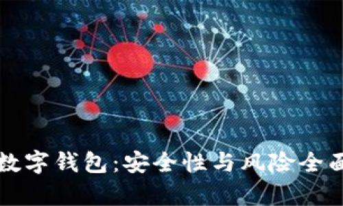 下载数字钱包：安全性与风险全面解析
