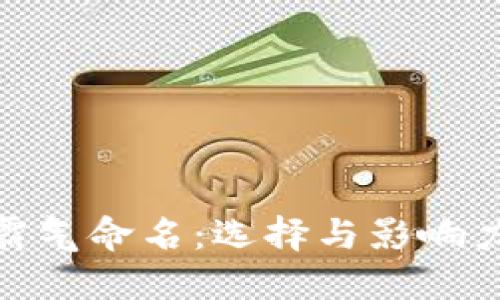 数字钱包的霸气命名：选择与影响力的完美结合
