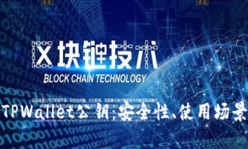 : 深入解析TPWallet公钥：安全性、使用场景及操作指南