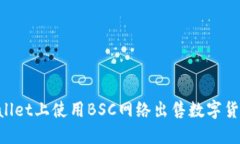 如何在TPWallet上使用BSC网络