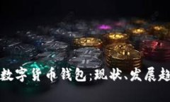 全面解析巴西数字货币钱