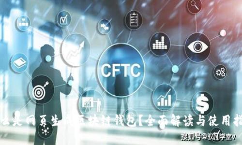 什么是网页生成区块链钱包？全面解读与使用指南