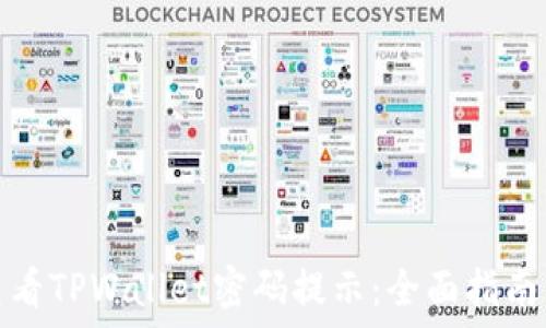   
如何安全查看TPWallet密码提示：全面指南与实用技巧