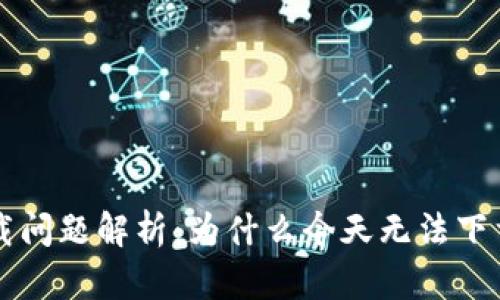 TPWallet下载问题解析：为什么今天无法下载及解决方案