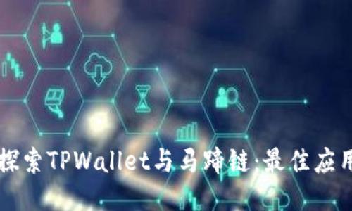 深入探索TPWallet与马蹄链：最佳应用指南