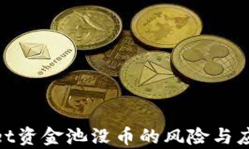 
tpwallet资金池没币的风险与应对策略