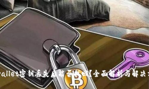 tpwallet密钥丢失后能否找回？全面解析与解决方案