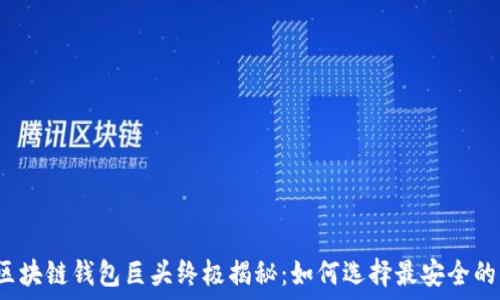  
海外区块链钱包巨头终极揭秘：如何选择最安全的钱包？