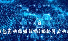 开通数字钱包真的能赚钱