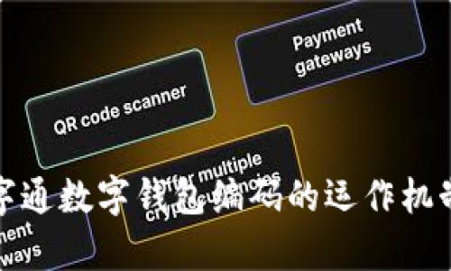 深入解析数字通数字钱包编码的运作机制与用户体验