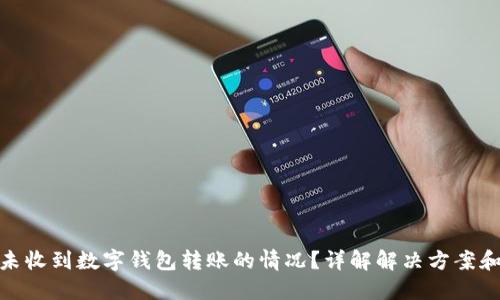 如何处理未收到数字钱包转账的情况？详解解决方案和预防措施