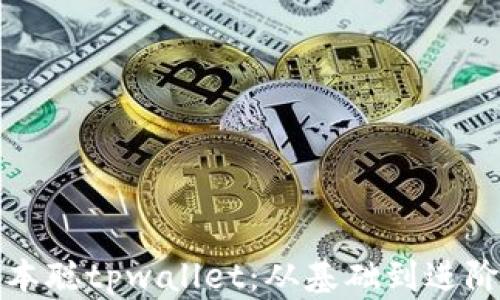 
深入探讨中本聪tpwallet：从基础到进阶的全面教程