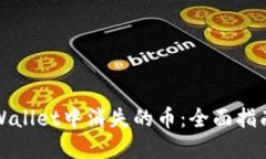 如何处理TPWallet中消失的币