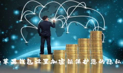 如何为苹果钱包设置加密锁保护您的隐私与安全
