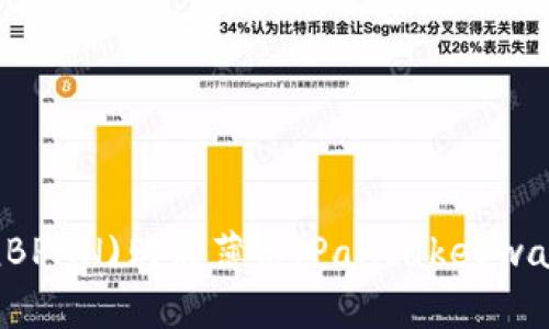 如何通过TP钱包(BPAN)购买薄饼（PancakeSwap）代币：全面指南