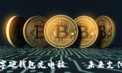   全面解析数字硬钱包充电