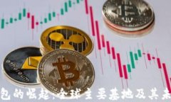 数字钱包的崛起：全球主