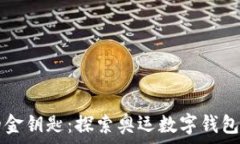   数字化时代的金钥匙：探