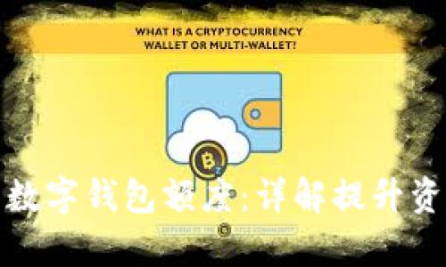 如何有效管理公户数字钱包额度：详解提升资金使用效率的策略